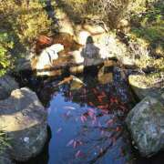 ヒメ日記 2026/01/06 07:32 投稿 森本 MadameRest(マダムレスト)