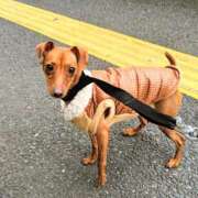 ヒメ日記 2026/01/12 12:24 投稿 森本 MadameRest(マダムレスト)