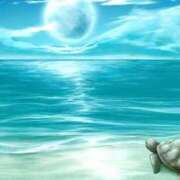 ヒメ日記 2026/01/14 01:15 投稿 森本 MadameRest(マダムレスト)