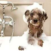 ヒメ日記 2026/01/17 23:53 投稿 森本 MadameRest(マダムレスト)