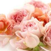 ヒメ日記 2026/01/20 12:32 投稿 森本 MadameRest(マダムレスト)