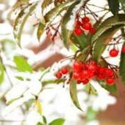 ヒメ日記 2026/01/21 12:33 投稿 森本 MadameRest(マダムレスト)