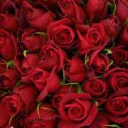 ヒメ日記 2026/01/26 10:49 投稿 森本 MadameRest(マダムレスト)