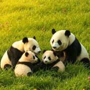 ヒメ日記 2026/01/26 14:52 投稿 森本 MadameRest(マダムレスト)