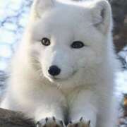 ヒメ日記 2026/01/27 08:15 投稿 森本 MadameRest(マダムレスト)