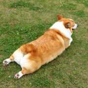 ヒメ日記 2026/01/27 14:24 投稿 森本 MadameRest(マダムレスト)