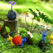 ヒメ日記 2026/01/29 17:02 投稿 森本 MadameRest(マダムレスト)