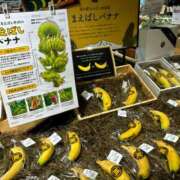 ヒメ日記 2026/02/04 12:31 投稿 森本 MadameRest(マダムレスト)