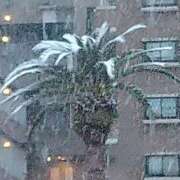 ヒメ日記 2026/02/07 17:24 投稿 森本 MadameRest(マダムレスト)