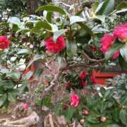 ヒメ日記 2026/02/10 16:15 投稿 森本 MadameRest(マダムレスト)