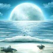 ヒメ日記 2026/02/13 22:15 投稿 森本 MadameRest(マダムレスト)