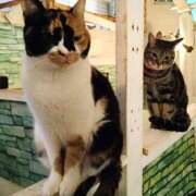 ヒメ日記 2026/02/16 19:52 投稿 森本 MadameRest(マダムレスト)