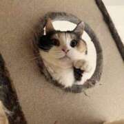 ヒメ日記 2026/02/22 13:57 投稿 森本 MadameRest(マダムレスト)