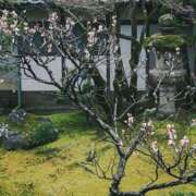 ヒメ日記 2026/02/23 11:15 投稿 森本 MadameRest(マダムレスト)