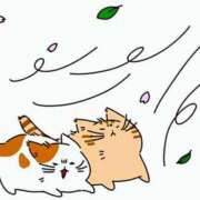 ヒメ日記 2026/02/23 12:15 投稿 森本 MadameRest(マダムレスト)