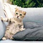 ヒメ日記 2026/03/01 16:24 投稿 森本 MadameRest(マダムレスト)