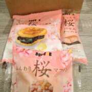 ヒメ日記 2026/03/02 17:32 投稿 森本 MadameRest(マダムレスト)