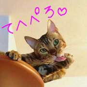 ヒメ日記 2026/03/06 08:32 投稿 森本 MadameRest(マダムレスト)