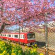 ヒメ日記 2026/03/06 12:15 投稿 森本 MadameRest(マダムレスト)