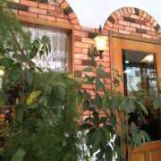 ヒメ日記 2026/03/09 13:25 投稿 森本 MadameRest(マダムレスト)