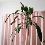 ヒメ日記 2026/03/11 09:24 投稿 森本 MadameRest(マダムレスト)