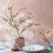 ヒメ日記 2026/03/24 08:52 投稿 森本 MadameRest(マダムレスト)