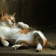 ヒメ日記 2026/03/24 21:15 投稿 森本 MadameRest(マダムレスト)