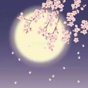 ヒメ日記 2026/03/26 01:15 投稿 森本 MadameRest(マダムレスト)