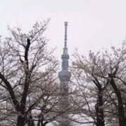 ヒメ日記 2026/03/29 20:15 投稿 森本 MadameRest(マダムレスト)