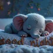 ヒメ日記 2026/04/01 00:15 投稿 森本 MadameRest(マダムレスト)