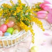 ヒメ日記 2026/04/05 08:00 投稿 森本 MadameRest(マダムレスト)