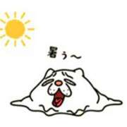 ヒメ日記 2026/04/11 17:52 投稿 森本 MadameRest(マダムレスト)