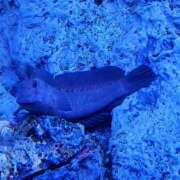 ヒメ日記 2026/04/13 17:24 投稿 森本 MadameRest(マダムレスト)