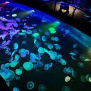 ヒメ日記 2026/04/14 12:15 投稿 森本 MadameRest(マダムレスト)