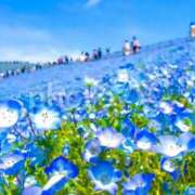 ヒメ日記 2026/04/17 12:24 投稿 森本 MadameRest(マダムレスト)