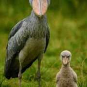 ヒメ日記 2026/04/21 09:15 投稿 森本 MadameRest(マダムレスト)