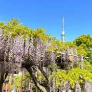 ヒメ日記 2026/04/22 08:24 投稿 森本 MadameRest(マダムレスト)