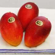 ヒメ日記 2026/04/28 09:16 投稿 森本 MadameRest(マダムレスト)