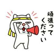ヒメ日記 2026/05/19 12:24 投稿 森本 MadameRest(マダムレスト)