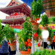 ヒメ日記 2026/07/10 09:24 投稿 森本 MadameRest(マダムレスト)
