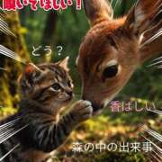 ヒメ日記 2026/09/12 08:32 投稿 森本 MadameRest(マダムレスト)