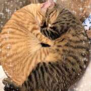 ヒメ日記 2025/01/13 09:36 投稿 月岡美里 五十路マダム 郡山店