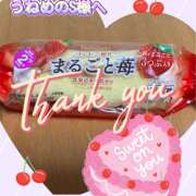 ヒメ日記 2025/02/26 09:00 投稿 月岡美里 五十路マダム 郡山店