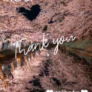 ヒメ日記 2025/04/09 18:10 投稿 月岡美里 五十路マダム 郡山店