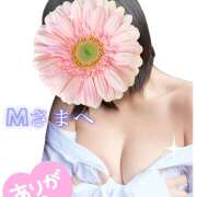 ヒメ日記 2026/03/01 12:50 投稿 月岡美里 五十路マダム 郡山店