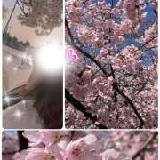 月岡美里 心は晴れにしませんか？ 五十路マダム 郡山店