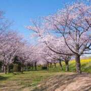 ヒメ日記 2025/04/02 22:26 投稿 ゆの 素人オナクラ美少女