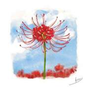 ヒメ日記 2025/09/03 14:44 投稿 きぬ クンニ専門店 おクンニ学園 池袋校