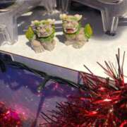 いずみ 今なら One More奥様　立川店