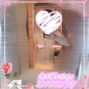 ヒメ日記 2026/02/22 16:36 投稿 藤花（ふじか） 熟女の風俗最終章　鶯谷店